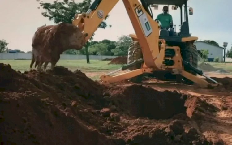 Prefeitura de Jaraguá faz vídeo polêmico de conscientização contra a Covid-19 abrindo covas em cemitério