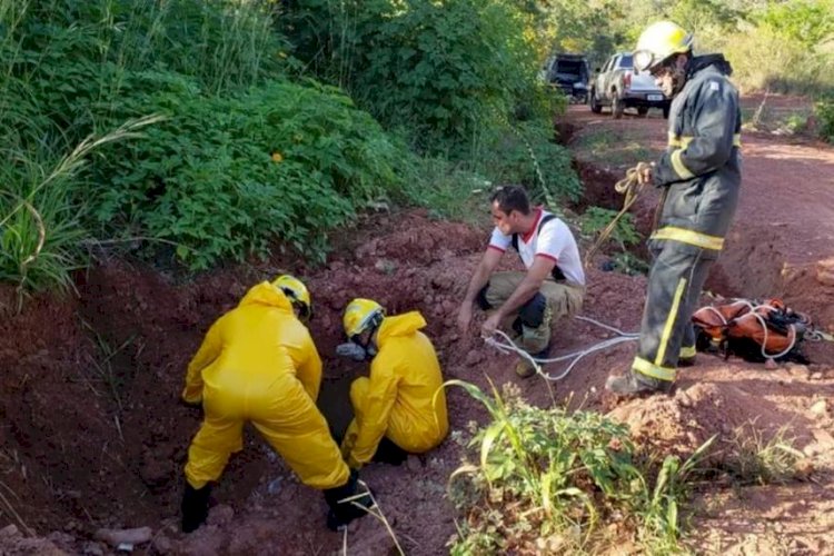 ‘Vampiro do Itapoã’ é condenado a 21 anos por matar e beber sangue de vítima