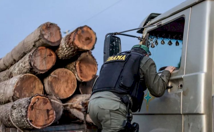 Servidores do Ibama denunciam que fiscalização ambiental está paralisada após decisão de Salles