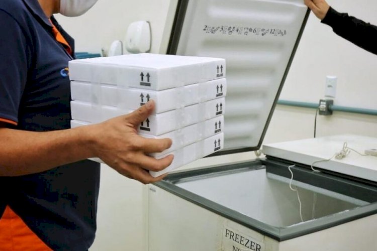 Goiás recebe primeiro lote da vacina da Pfizer com 17.550 doses