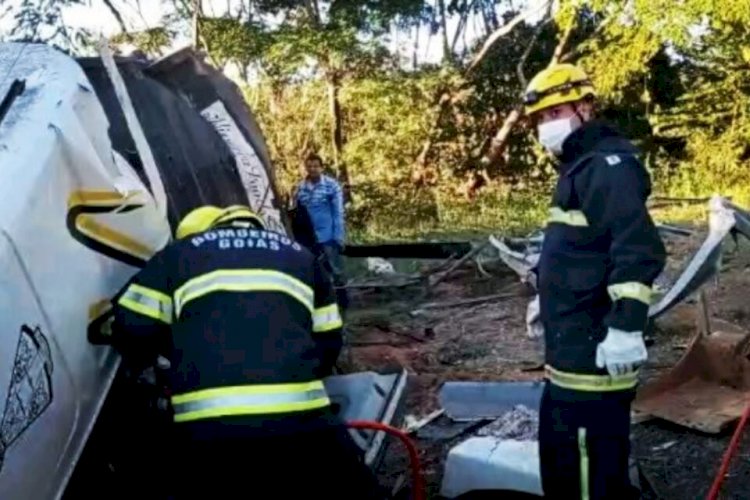 Em Goiás: Caminhoneiro que levava gado morre após bater em árvore na GO-241