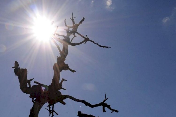 Meteorologia emite alerta de perigo para baixa umidade em Goiás