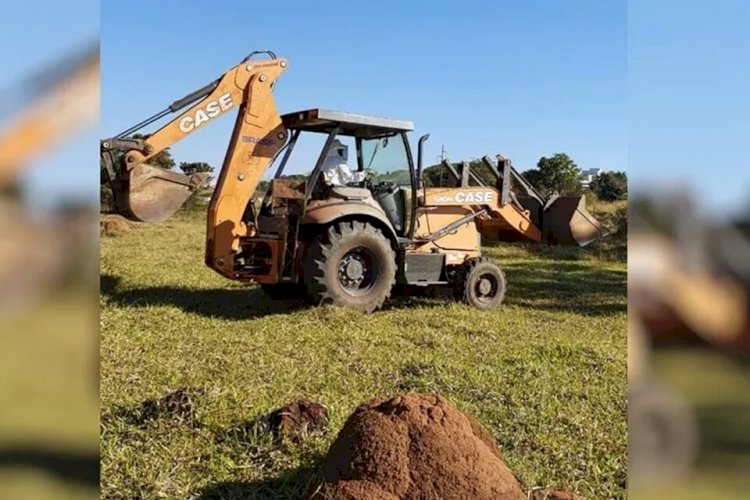 Em Goiás: Homem atropela colmeia com trator e sofre ataque de abelhas