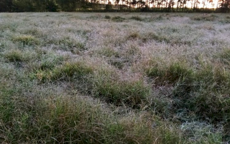 Temperaturas devem cair a partir de domingo e pode ter geada em cidades de Goiás, diz Cimehgo