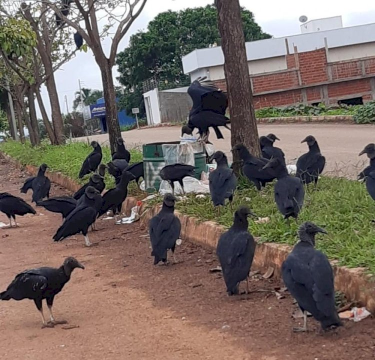 Rubiataba saiu na frente de todas as cidades de Goiás na cobrança de taxa de lixo