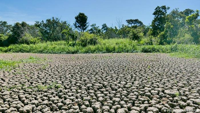 Pantanal perde 74% da água desde 1985, e pesquisadores dizem que Brasil está secando