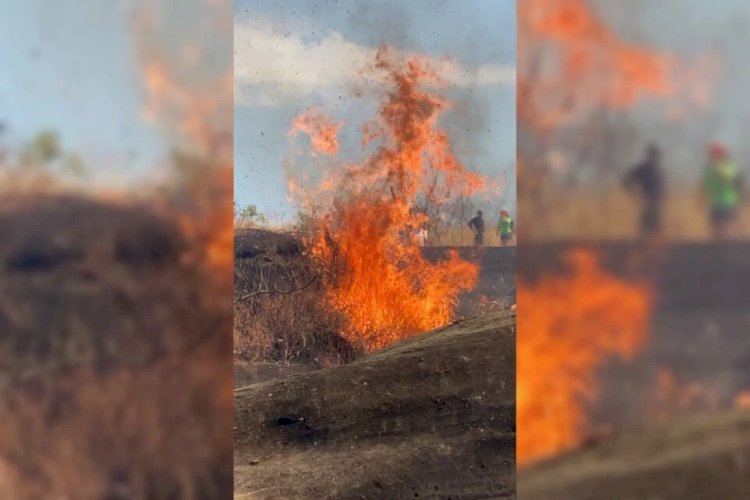 Em Goiás: Cerca de 100 turistas ficam ilhados em meio a incêndio