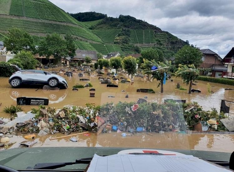 Mudança climática afeta decisão de jovens brasileiros sobre ter filho, diz pesquisa internacional