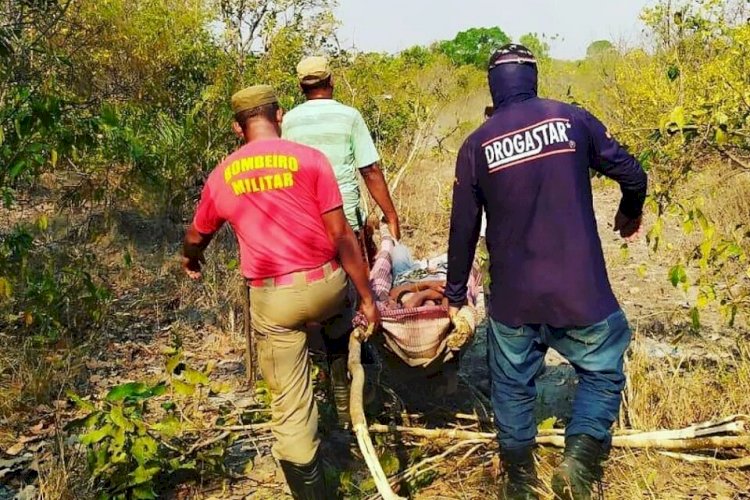 Em Goiás: Mulher se perde em mata após sair para colher pequi