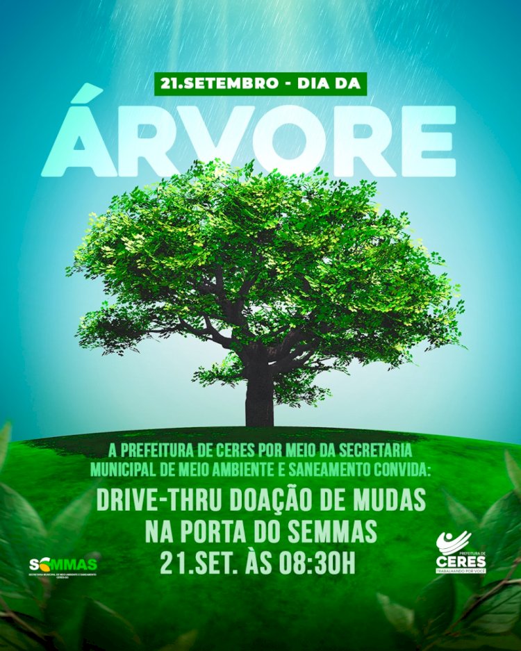 21 de setembro, é o Dia da Árvore e a Prefeitura de Ceres irá promover uma ação voltada a conscientização sobre a importância das árvores para a sociedade