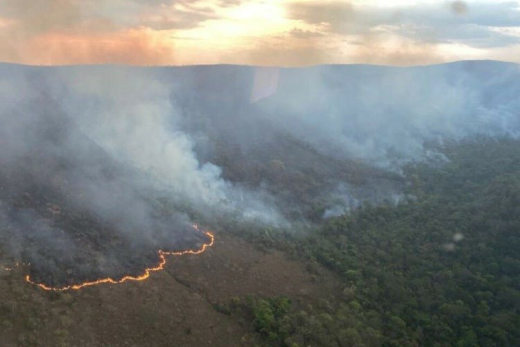 Uma só pessoa foi responsável por metade da área destruída por incêndio na Chapada dos Veadeiros