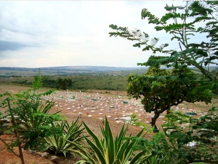 Descubra lugares em Goiás onde os pets podem descansar em paz