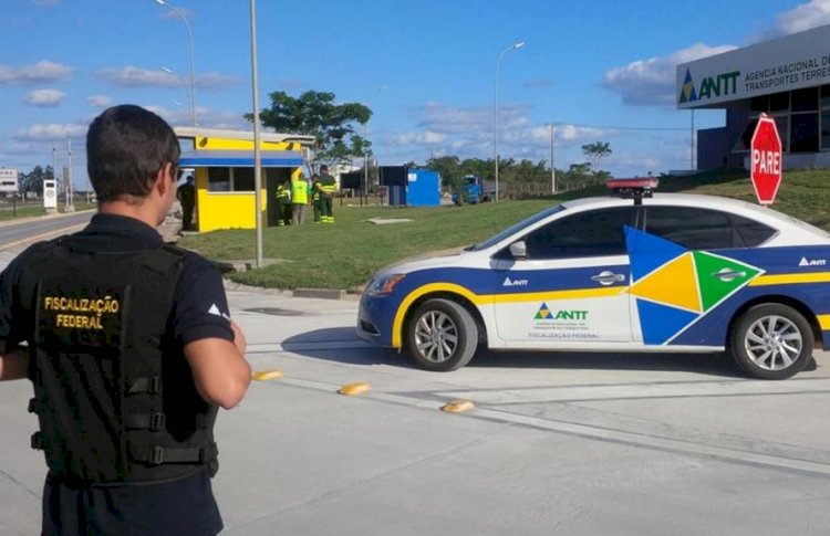 Mais de 10 ônibus clandestinos são apreendidos em Goiânia durante feriado