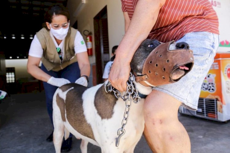 Ceres: Vacinação contra a raiva acontece no dia 27 de novembro. Cães e gatos com mais de 03 meses devem ser vacinados