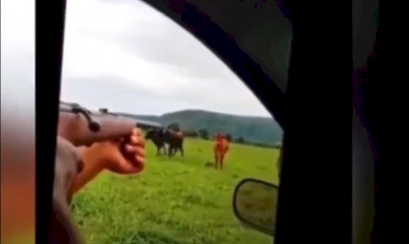 Dupla que matou vaca para roubar a carne e filmou a ação são presos em Goiás