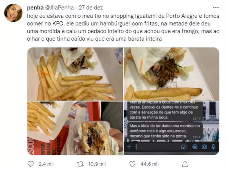 Barata no lanche: cliente diz ter mordido inseto em rede de fast-food; 'fiquei sem reação'