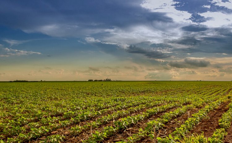 Agro goiano tem desempenho expressivo em 2021