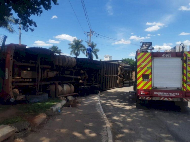 Em Goiás: Caminhão que transportava mais de 50 cabeças de gado tomba na GO-070