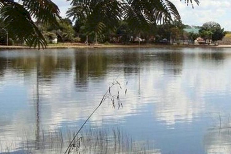 Jacarés ainda vivem em lagoa de Porangatu 7 meses após ataque a criança