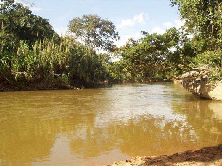 Estudo aponta substâncias químicas ou radioativas na água de 59 cidades de Goiás