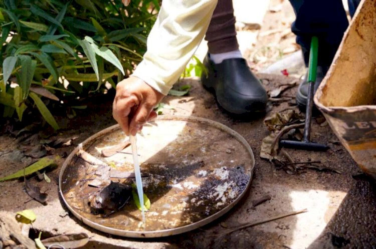 Com dois casos de zika vírus em grávidas, Goiás faz alerta para população