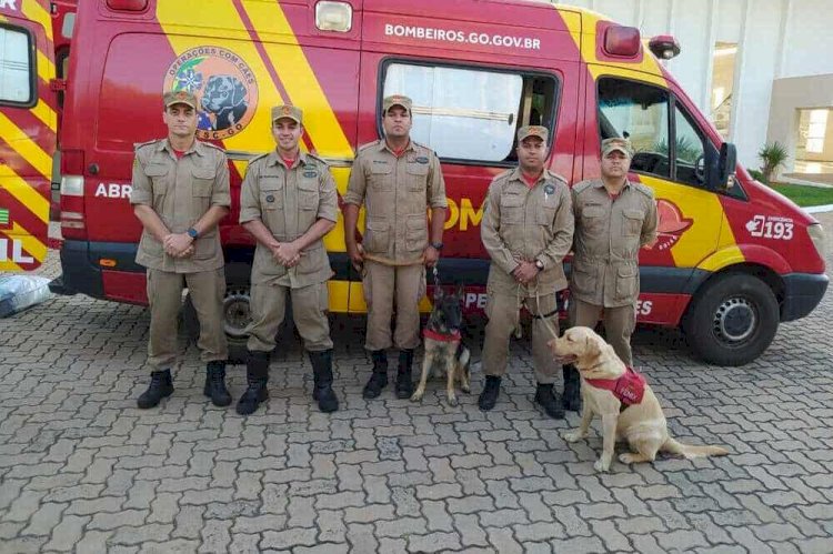 Bombeiros de Goiás são enviados a Pernambuco para auxiliar nas buscas por desaparecidos