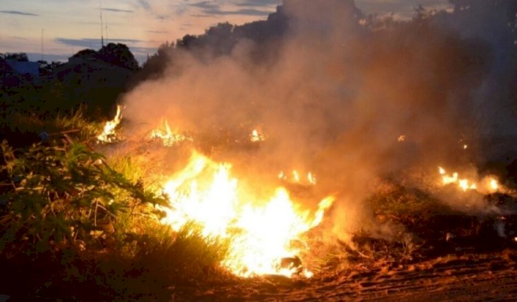 Meio Ambiente: Prefeitura de Ceres alerta sobre o risco de queimadas no período de estiagem