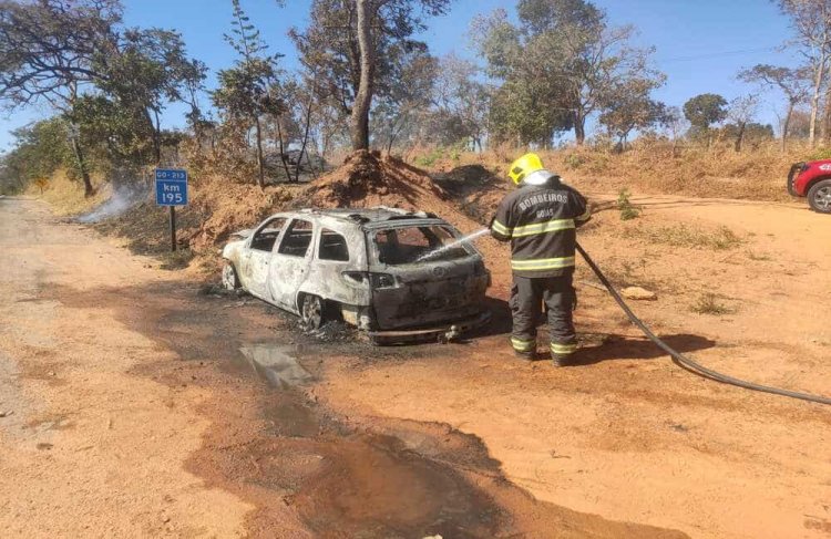 Em Goiás: Carro pega fogo e chamas causam incêndio às margens da GO-213