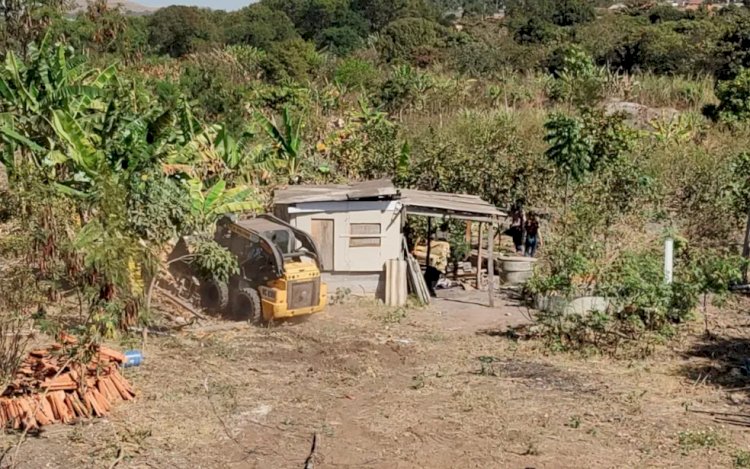 Grupo é multado em mais de R$ 200 mil por desmatar área de preservação ambiental para plantar mandioca, diz prefeitura