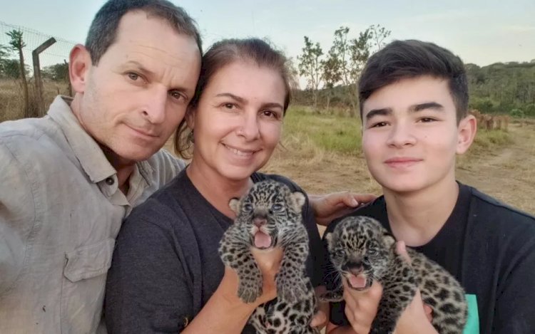 Família que comanda Instituto Onça-Pintada é famosa na web ao publicar rotina com bichos; local foi multado pela morte de 72 animais