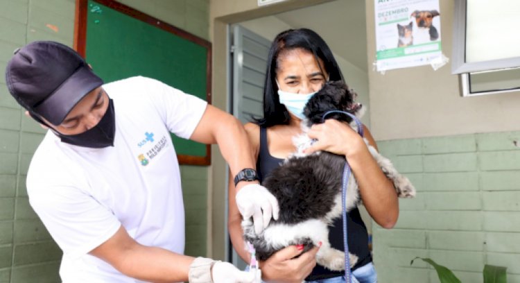 A Prefeitura de Ceres promove, no próximo sábado (24), o Dia D da Campanha de Vacinação Contra a Raiva em cães e gatos a partir de três meses de idade