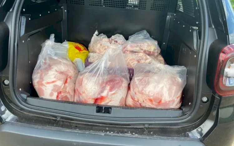 Em Goiás: Abatedouro clandestino é suspeito de vender carne de cavalo