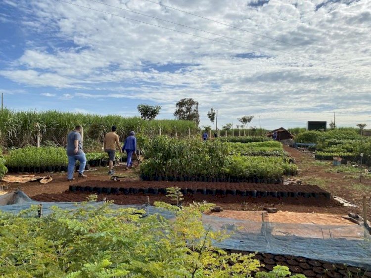 CRV Industrial firma parceria com Projeto Plantando Água