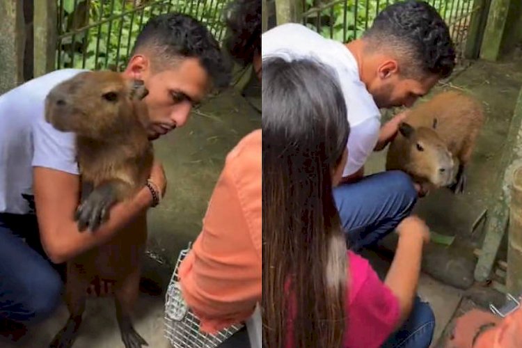 Tiktoker recupera capivara Filó depois de liminar da Justiça