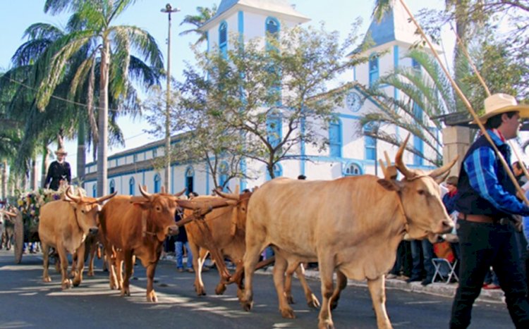 Desfile de carros de boi na Romaria de Trindade pode virar patrimônio cultural