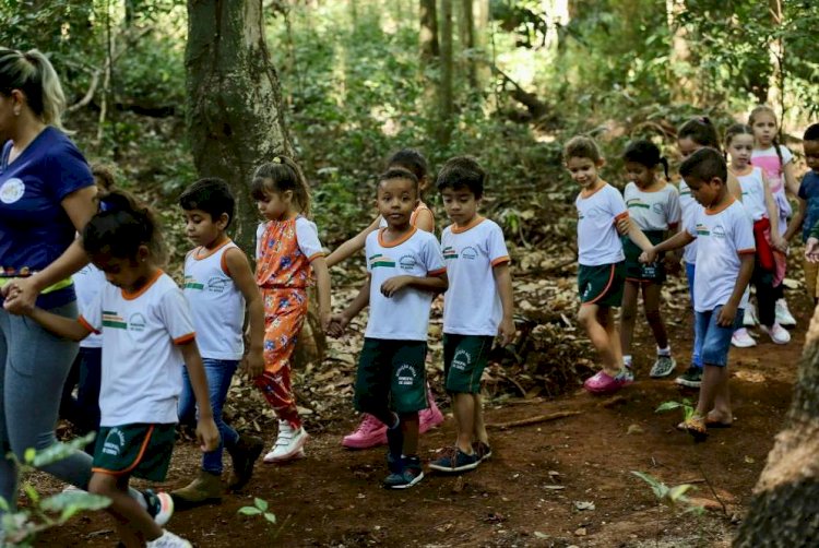 Secretaria de Meio Ambiente: Coração Verde no Centro de Ceres