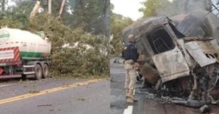 Motorista morre após carreta bitrem sair da pista na BR-153 bater em árvore e pegar fogo, em Santa Tereza de Goiás