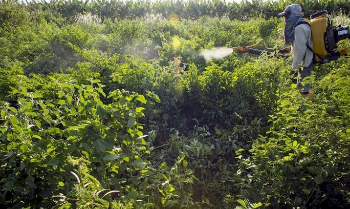 PF cumpre buscas em operação contra contrabando de agrotóxicos em Goiás