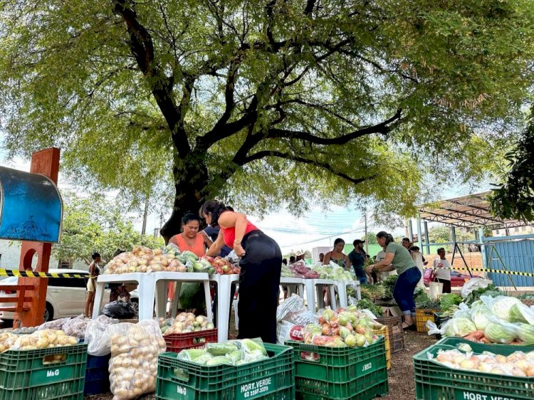 Secretaria de Desenvolvimento Social de Ceres faz entrega de verduras e legumes a comunidade