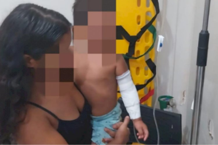 Menino de 2 anos é atacado por sucuri de 6 metros em Goiás