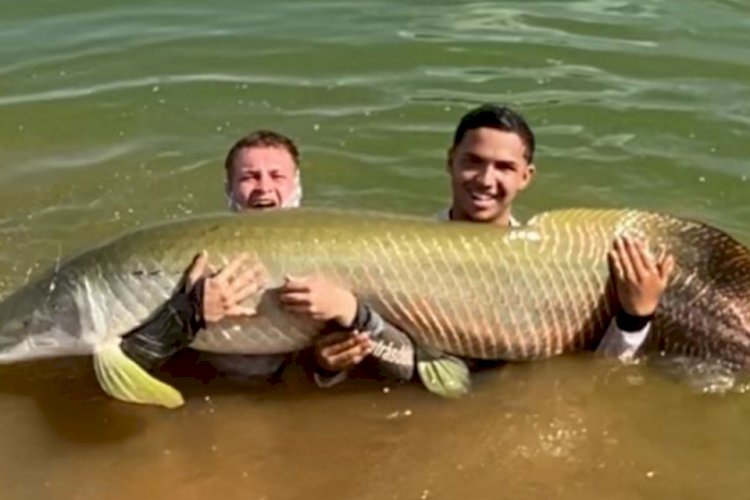 Em Goiás: Adolescente de 16 anos pesca pirarucu de 60 kg em lago