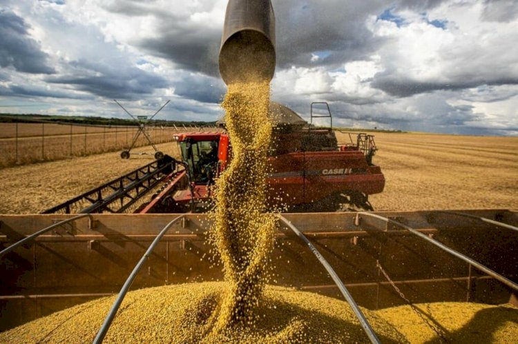 Goiás tem três municípios entre os 15 mais ricos do agronegócio no Brasil