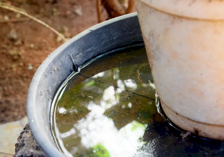 Prefeitura de Ceres alerta para aumento de casos de dengue no período chuvoso