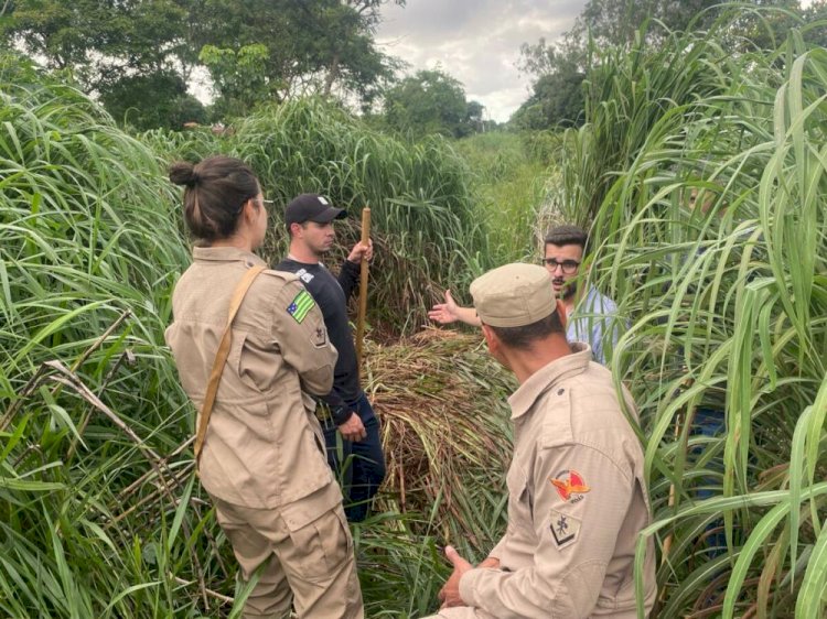 Polícia Civil de Goiás localiza corpo e investiga possível cemitério clandestino