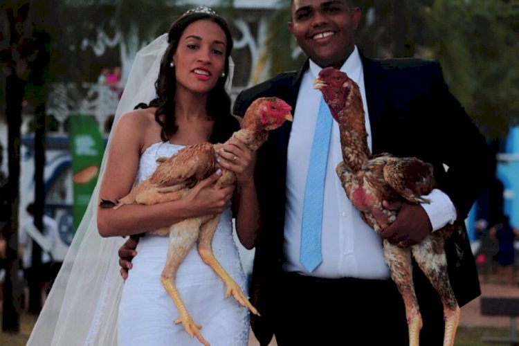 Casal em Goiás faz ensaio de casamento com galo gigante que mede mais de 1 metro