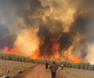 Incêndio em Itapaci assusta moradores e mata mulher carbonizada