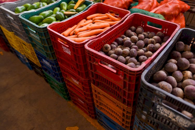 Frutas e verduras ficaram mais caros em Goiás no mês de novembro