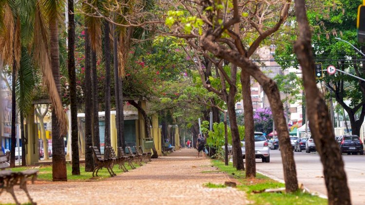 ‘Fazenda asfaltada’: influenciador ironiza críticas a Goiânia e viraliza
