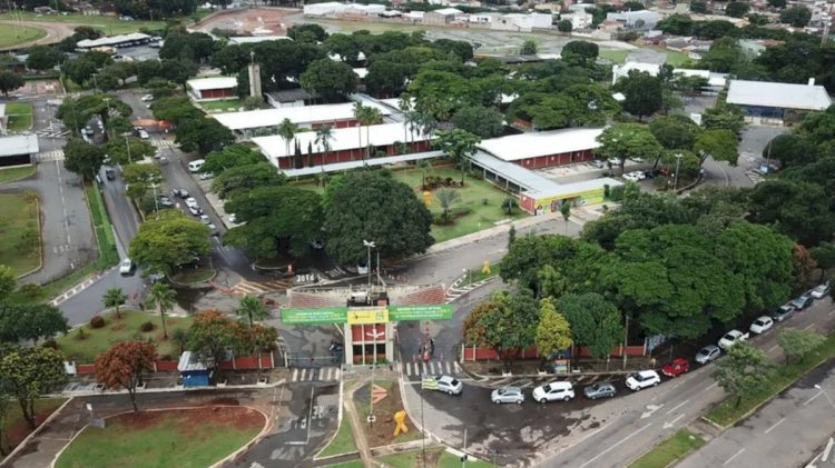 Golpistas criam sites e perfis para divulgar leilões falsos do Detran Goiás