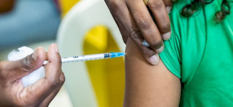 GOIÁS: Mobilização pretende vacinar 2,8 milhões de pessoas contra a gripe no estado